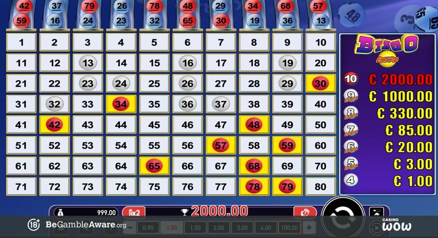 Extra Bingo Big Win