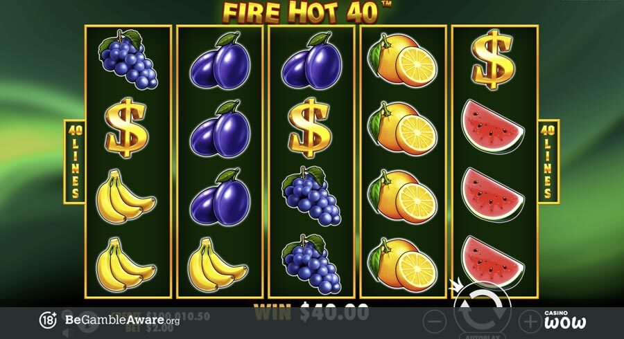 Fire Hot 40 Bonus Feature