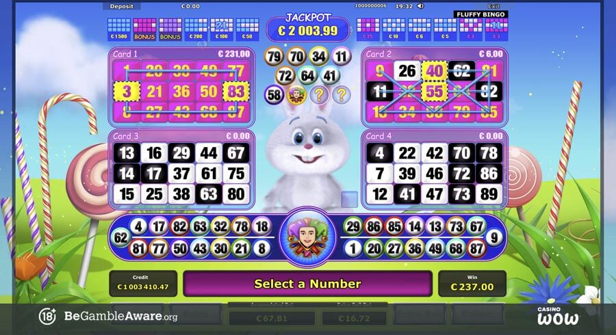 Fluffy Bingo Bonus Feature