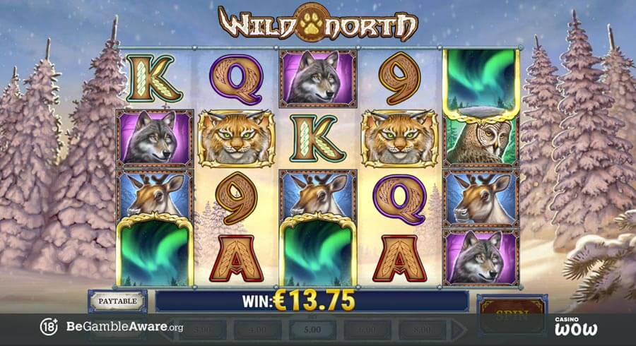 Wild North Bonus Feature