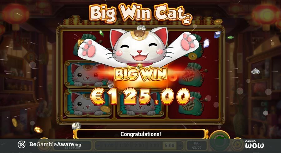 Big Win Cat Big Win