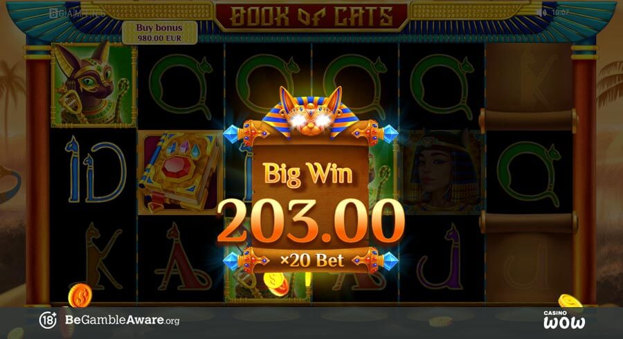Book of Cats Big Win