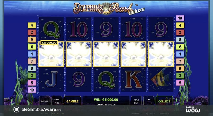 Dolphin’s Pearl Deluxe Big Win
