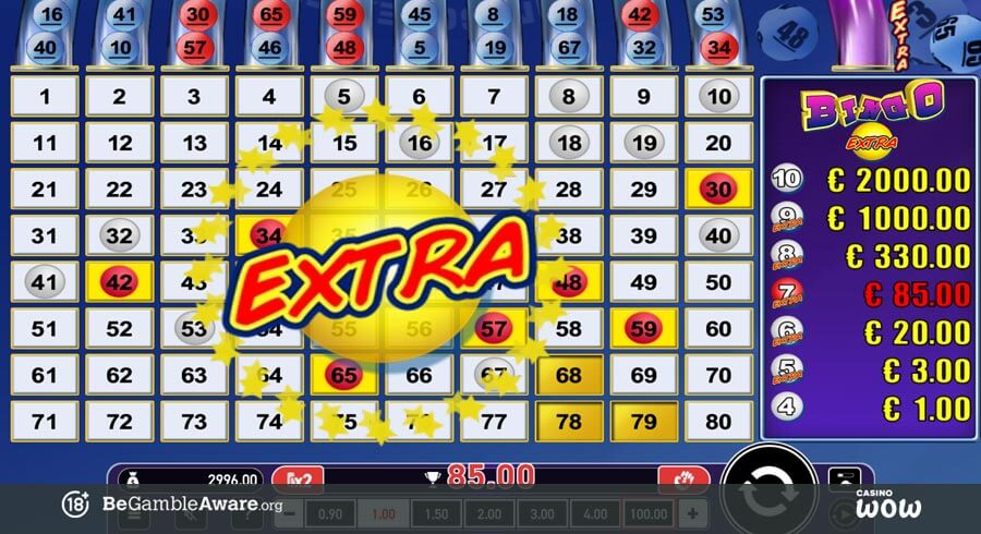 Extra Bingo Bonus Feature