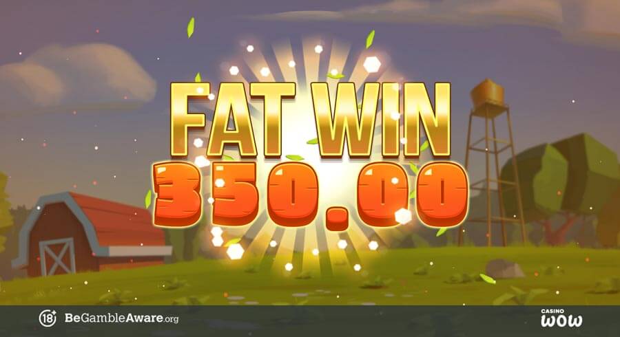 Fat Rabbit Big Win