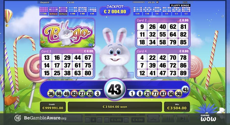 Fluffy Bingo Big Win