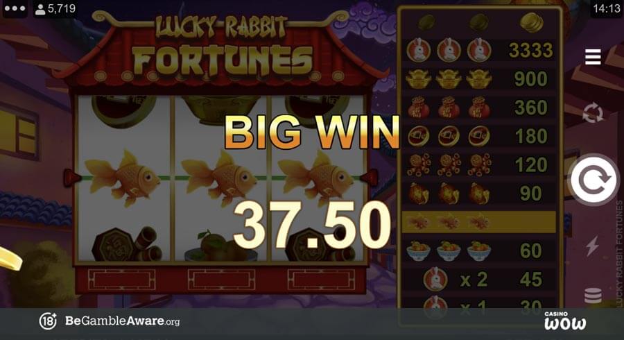 Lucky Rabbit Fortunes Medium Win