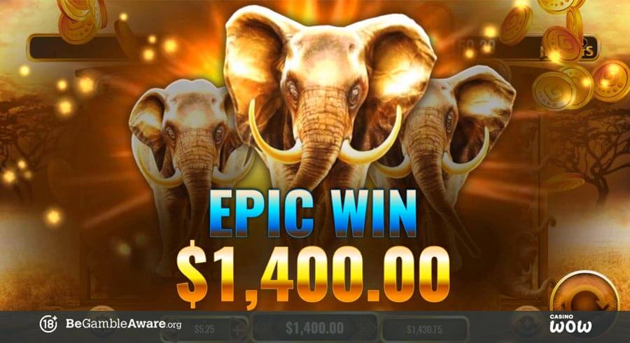 MegaJackpots Elephant King Big Win