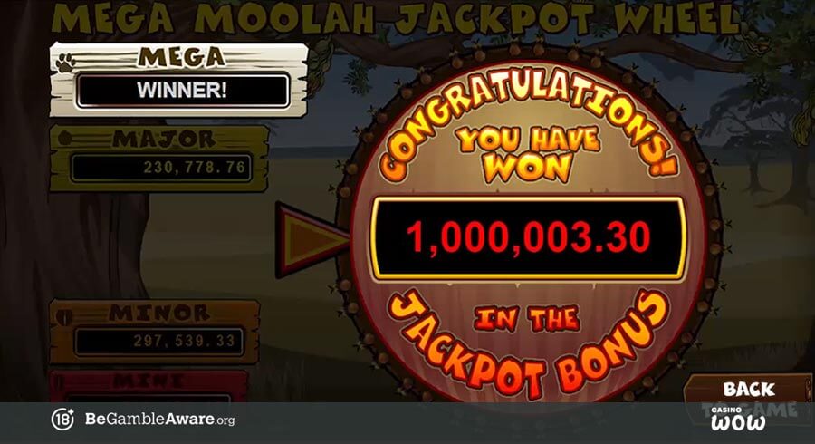 Mega Moolah Big Win