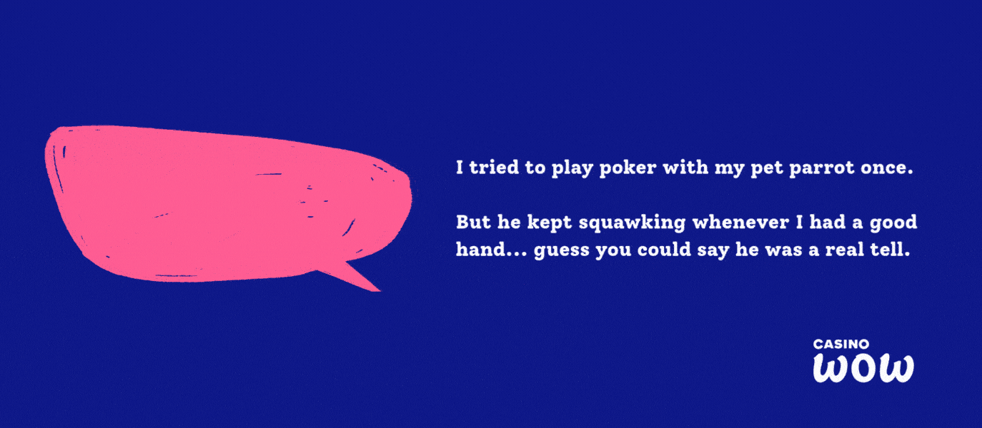 Casino Jokes and Puns by CasinoWow