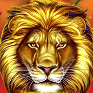 50-Lions-Icon-190x190.png