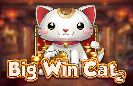 Play Big Win Cat online slot game