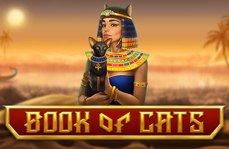 Play Book of Cats online slot game