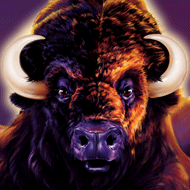 Buffalo