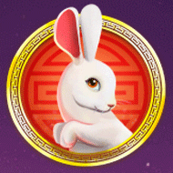 Lucky Rabbit Fortunes