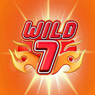 Wild 7