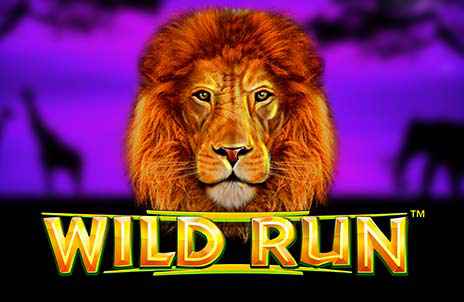 Play Wild Run online