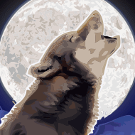 Wolf-Run-Icon-190x190.png
