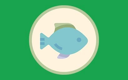 5 animals that are considered to bring luck