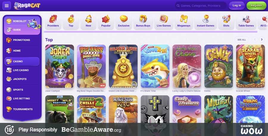 RoboCat Casino Games