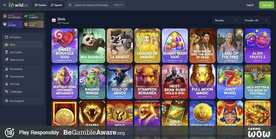 Wild.io Casino Games