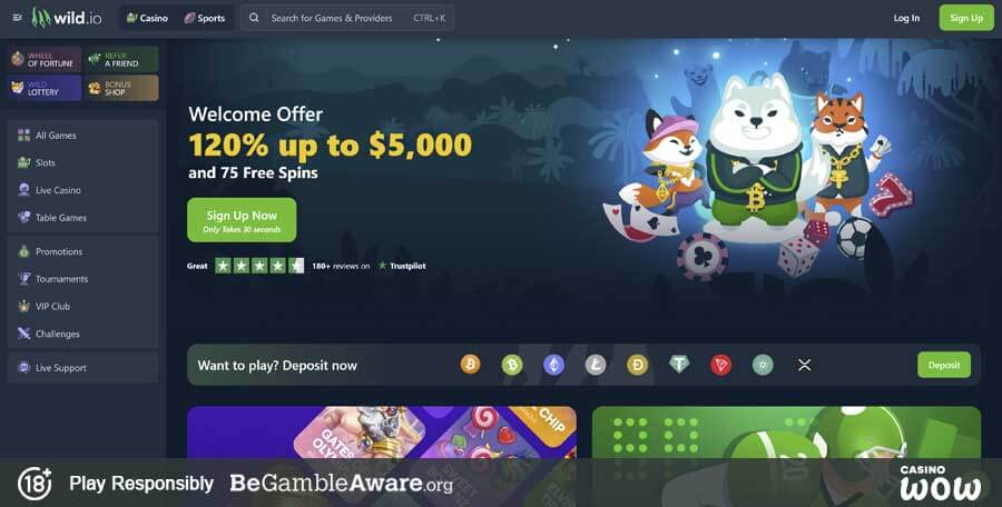 Wild.io Casino Lobby